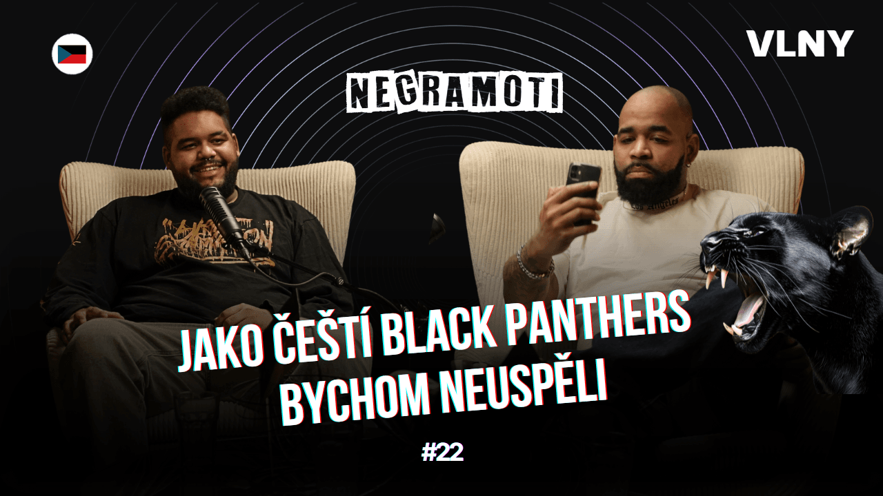 Jako čeští Black Panthers bychom neuspěli. V Americe to s nimi taky smrdí průšvihem